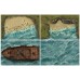 Box of adventure 2 : RPG maps & tokens : Coast of Dread