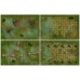 Box of adventure 2 : RPG maps & tokens : Coast of Dread