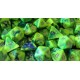 7 dés JdR - Toxic - Vert sur bleu