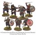 Pillage : Troupe viking