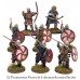 Pillage : Troupe viking