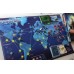 Pandemic FR